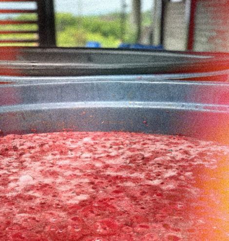 Fruit Market 🍓 - Carbonic Maceration Mosto - Pink Bourbon